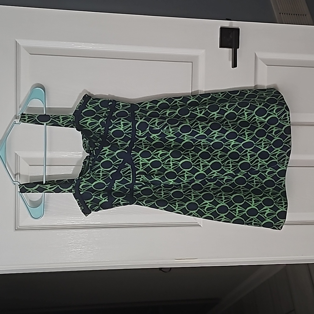 Lily pulitzer dress
